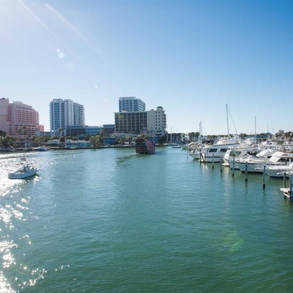 Meet your Posher, Zibeda